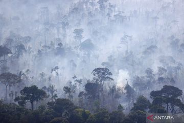 Karhutla di hutan hujan tropis Amazon