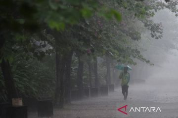 BMKG: Akhir pekan, waspadai peluang hujan lebat dan angin kencang