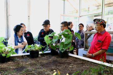 Megawati ingin bibit tanaman bisa terdata secara detail, tak mudah diperjualbelikan