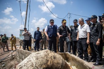 Mentan tinjau penanaman padi perdana Gernas El Nino