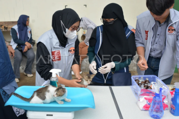 Hari Kucing Internasional