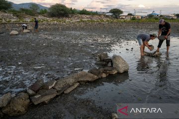 Pembuatan dam penangkap sedimen mangrove