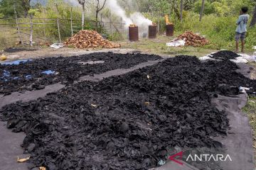 Potensi ekspor arang tempurung kelapa