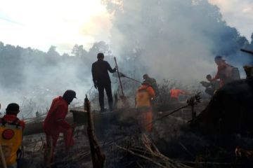 BPBD Kapuas Hulu aktifkan Satgas desa tangani karhutla