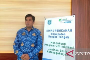 Bangka Tengah ciptakan produk cumi dalam kemasan