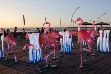 Pameran lampion China digelar di Tel Aviv