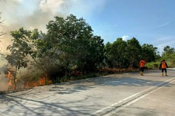 Titik panas di Kaltim turun drastis dari 111 jadi 24