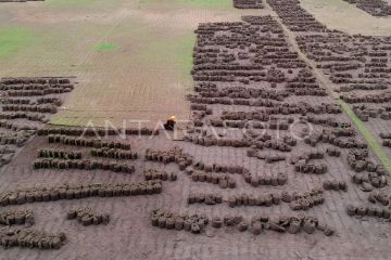 Renovasi Stadion Pakansari Bogor