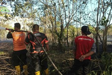 BMKG Balikpapan deteksi 17 titik panas di empat kabupaten