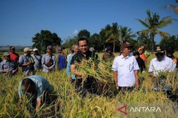 PT Vale mulai bangun pusat pembibitan Indonesia Growth Project