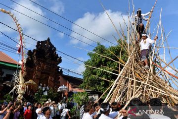 Warga menggelar tradisi Mekotek saat Hari Raya Kuningan