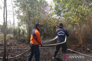 Pemprov dan TNI/Polri di Kalbar cegah Karhutla semakin meluas