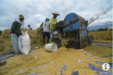 Pemprov DKI perkuat stok pangan jadi dua kali lipat hadapi El Nino