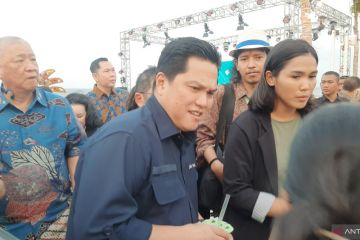 Erick Thohir kaji penerapan aturan WFH di BUMN