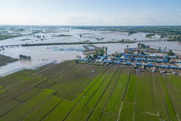 Perusahaan asuransi China terima 145.000 klaim di daerah bencana