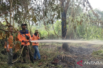 BPBD: Titik panas di Kalbar menurun, dampak intensitas hujan tinggi