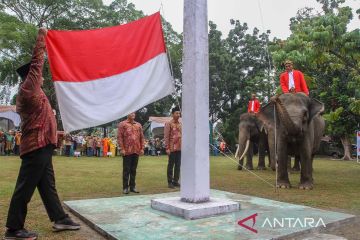 Gajah sumatra menjadi petugas upacara HUT Kemerdekaan RI