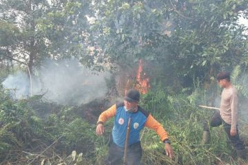 Tim gabungan berhasil padamkan karhutla di Kabupaten PPU