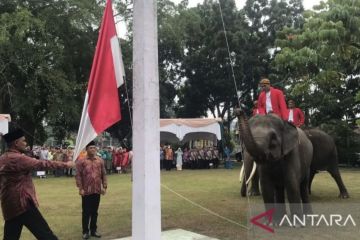 Tiga gajah ikut kibarkan bendera Merah Putih di Riau