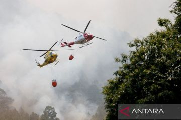 Kebakaran hutan hebat di Kepulauan Canary Spanyol