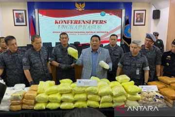 BNN sita 274 kg narkotika dari lima kasus peredaran gelap