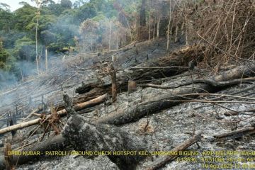 Waspada karhutla, BMKG deteksi 66 titik panas baru di Kaltim