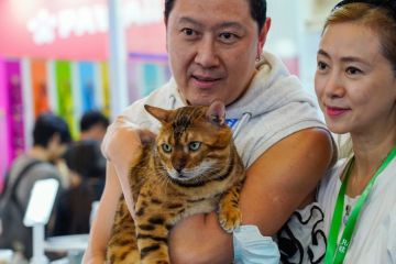 Menyaksikan Pet Fair Asia ke-25 di Shanghai