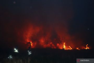 Karhutla Ancam Pemukiman Warga di Tapin
