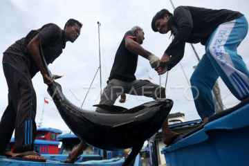 DKP Aceh: ASEAN jadi lokasi transit untuk ekspor hasil perikanan