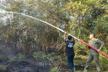 DPKP Kabupaten PPU berhasil padamkan kebakaran lahan di Babulu