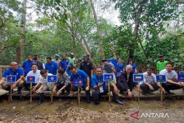 56 pohon mangrove ditanam gantikan jejak karbon pesawat peserta FBWC