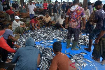FOTO - Neraca perdagangan perikanan Aceh tembus tujuh negara