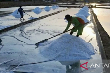 Produksi garam di Karawang Jabar melimpah pada musim kemarau