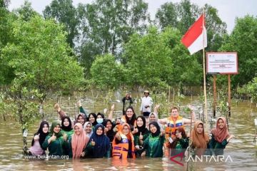 Berdayakan masyarakat peduli mangrove rambai 