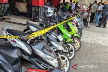 Polda Bengkulu: Operasi Musang tangkap 104 tersangka pencuri kendaraan