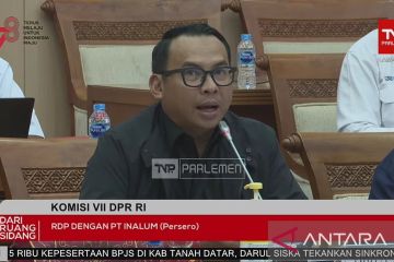 Dirut PT Inalum ungkap rencana pra-IPO tahun depan