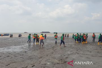 PTKPI berjuang tanam mangrove kado HUT RI