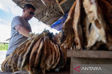 Cinderamata ikan asin kering di Banggai