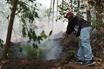 Balai TNGC: Kebakaran hutan di Gunung Ciremai capai 102 hektare