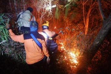 BNPB: 120 personel dikerahkan dalam pemadaman di TN Gunung Ciremai