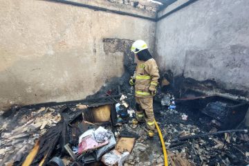 11 jiwa terdampak dalam kebakaran di Cengkareng