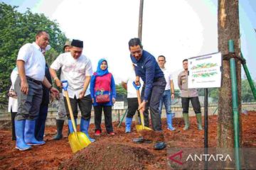 Pemprov DKI tanam seribu pohon di jalur hijau Kali Mookervaart