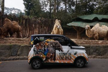 Wuling ambil bagian dalam ajang IAPVC 2023 di Taman Safari Indonesia