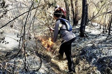 Polisi sebut kebakaran Gunung Arjuno akibat aktivitas perburuan liar