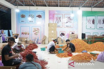 Upland Project Kementan bawa produk bawang goreng tembus pasar Belanda