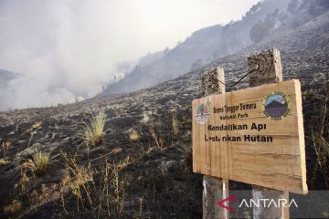 Kebakaran sabana di Gunung Bromo