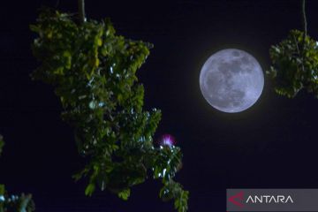 Indahnya fenomena Super Blue Moon