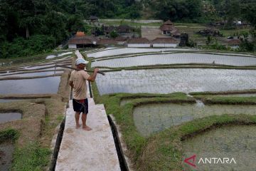 Meningkatkan kesejahteraan petani melalui optimalisasi sistem irigasi