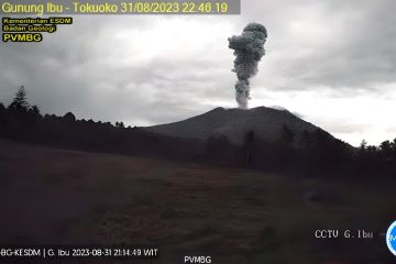 Gunung Ibu erupsi setinggi 1,5 kilometer ke arah utara