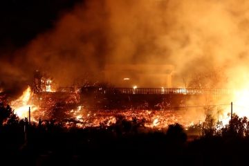 Kebakaran hutan melanda Pulau Sisilia di Italia, warga dievakuasi